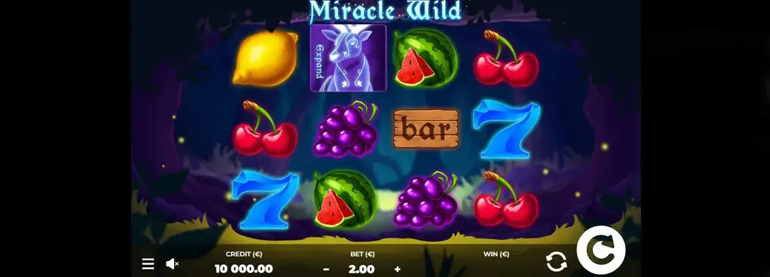 Speel Miracle Wild gratis in de demomodus